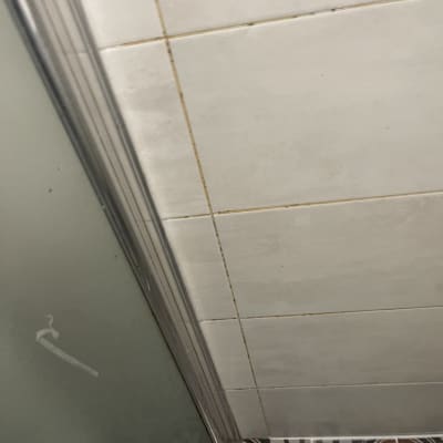 קיר מקלחת עם אריחים ודלת זכוכית