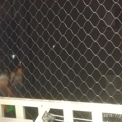 רשת חזקה שלא נראית בכלל ולא מסתירה את הנוף