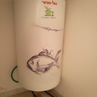 דוד שמש עם ציור דג וצינור ירוק