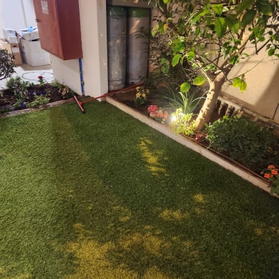 עץ קטן עם עלים ירוקים, דשא מלאכותי, פרחים צבעוניים