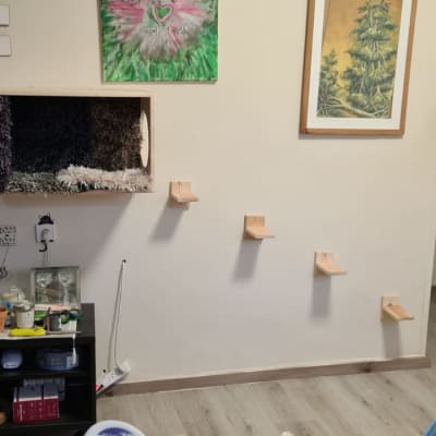 מדפים קטנים על הקיר ליד קופסת עץ