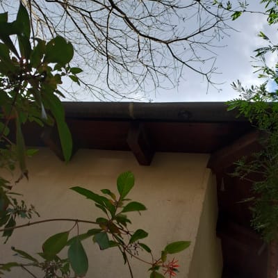 גג עם מרזב מתכת ועץ חשוף