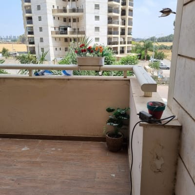 מרפסת עם עציץ פרחים צבעוני על המעקה