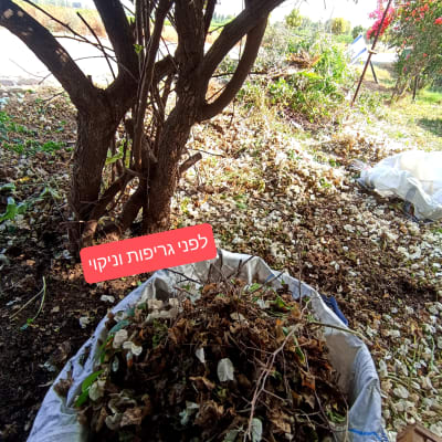 ערימת עלים וענפים בשק בגינה