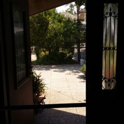 דלת אלומיניום עם זכוכית מעוצבת