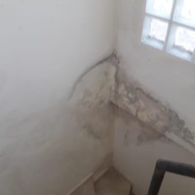 קיר עם קילופי צבע ופגמים