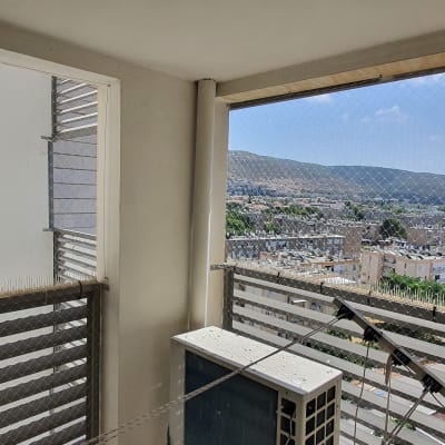 רשת הגנה ומחטי דוקרנים למניעת כניסת יונים