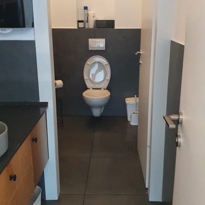 שירותים עם אסלה פתוחה ומברשת ניקוי