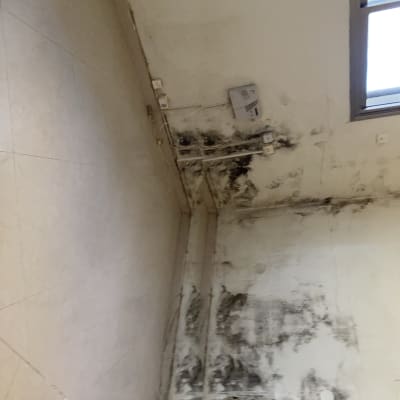 קיר עם כתמי עובש ושקעי חשמל