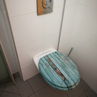 אסלה עם מכסה עץ כחול, לחצן הדחה על הקיר