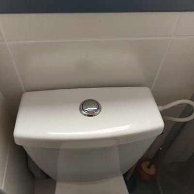 אסלה עם מברשת ניקוי ושסתום כפול