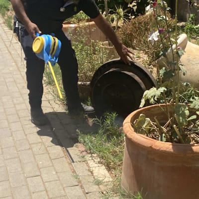 אדם מחזיק כלי ריסוס ליד מכסה ביוב