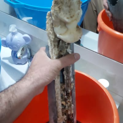 יד מחזיקה גוף חימום עם אבנית בתוך דלי כתום