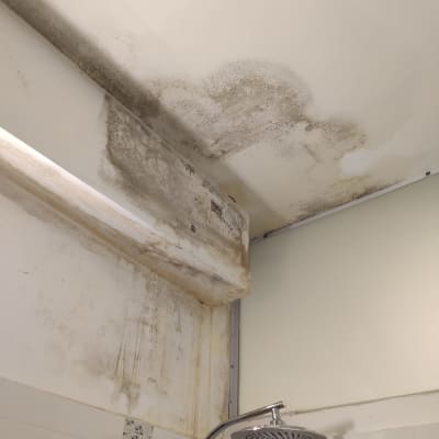 רטיבות ועובש בתקרה מעל מקלחת