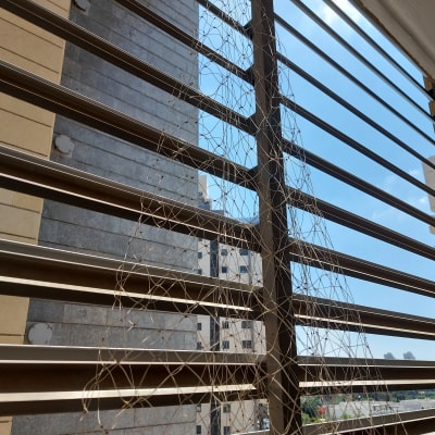 רשת נגד יונים מותקנת על חלון עם תריסים