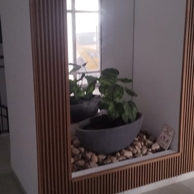 פינת צמחים עם מראה וקיר עץ דקורטיבי