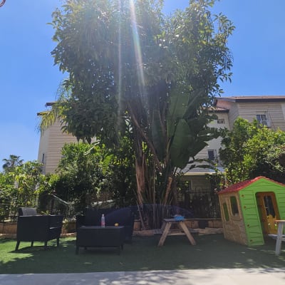 חצר עם דשא סינטטי, עצים וצעצועים לילדים