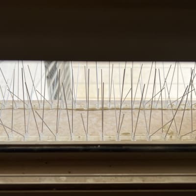 דוקרנים למניעת יונים על אדן חלון