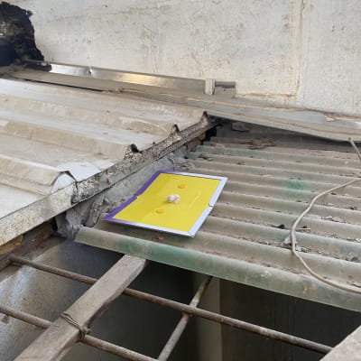 מלכודת דבק צהובה על גג מתכת