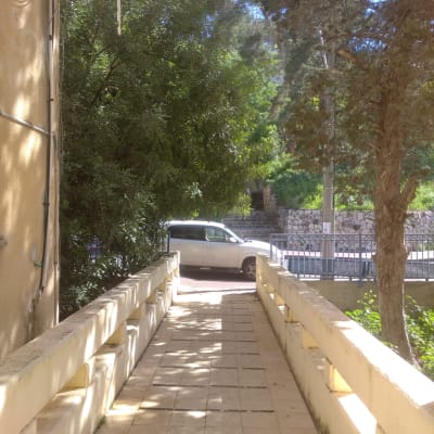 שביל מרוצף עם עצים ורכב חונה