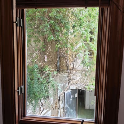 חלון עץ עם נוף של צמחייה בחוץ