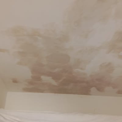 כתמים על תקרה לבנה, סימני רטיבות או עובש