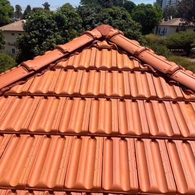 גג רעפים עם רעפים אדומים ועצים ברקע