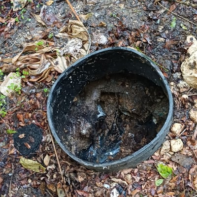 בור ביוב פתוח עם עלים מסביב