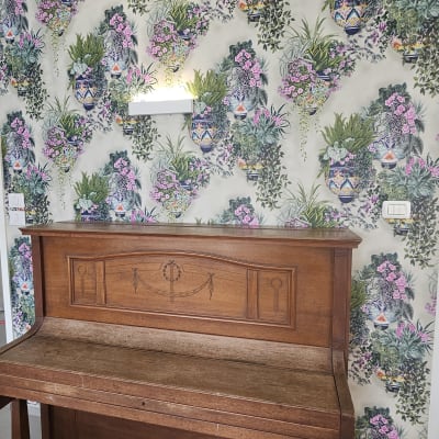 טפט עם עציצים ופרחים צבעוניים על קיר