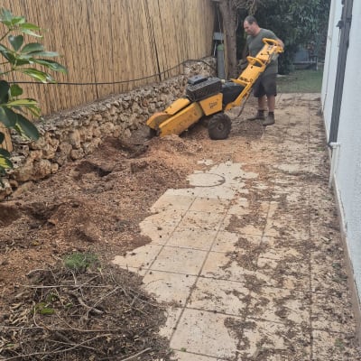 אדם משתמש במכונה לגיזום עצים בחצר