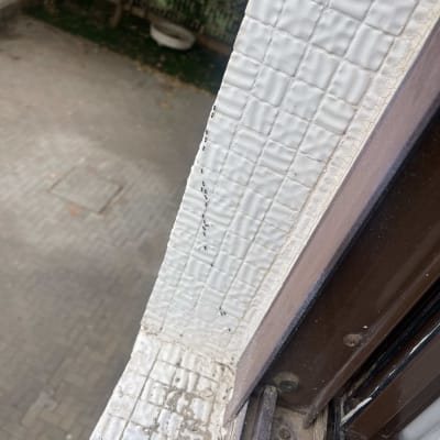 אבק ולכלוך על אדן חלון, ייתכן קשור להדברה