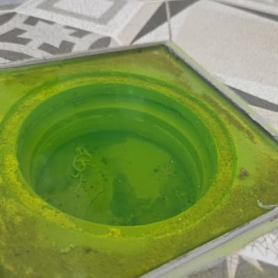 פתח ניקוז עם מים ירוקים על רצפה מעוצבת