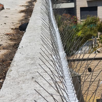 דוקרנים למניעת יונים על גג בטון