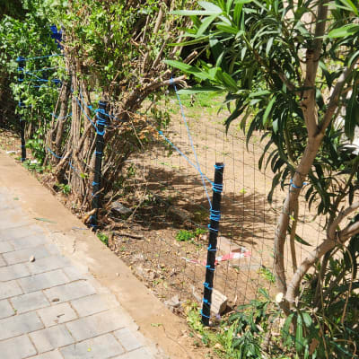 גדר רשת עם צמחים ירוקים ופרחים ורודים