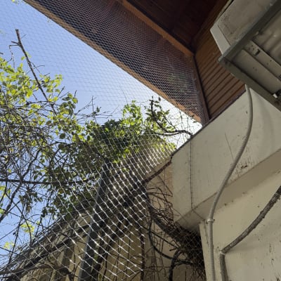 רשת מתכת מותקנת למניעת כניסת יונים