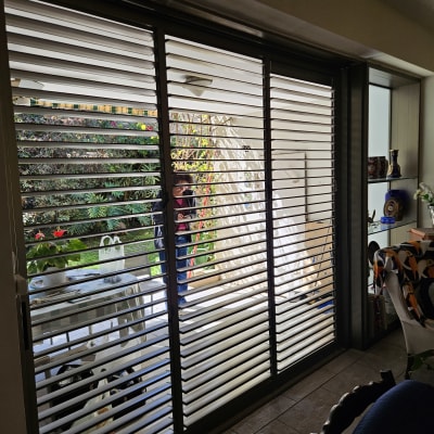 תריסים במרפסת עם צמחייה ברקע