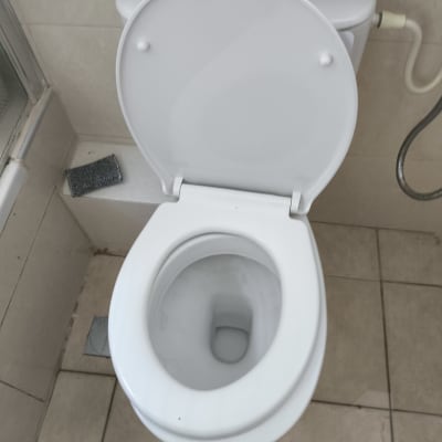 אסלה פתוחה עם מברשת ניקוי ליד