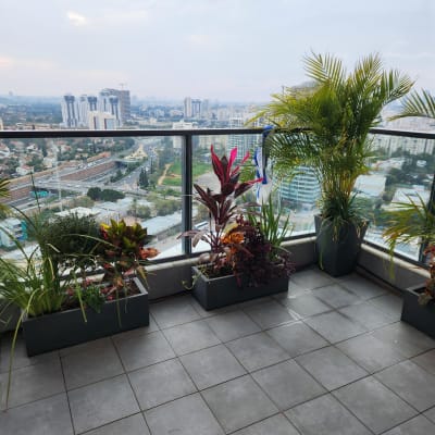 עציצים עם צמחים ירוקים ופרחים במרפסת