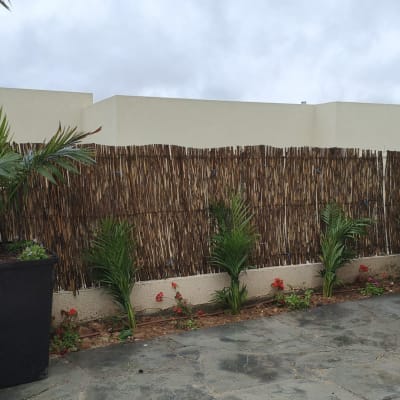 גדר במבוק עם צמחים ופרחים בגינה