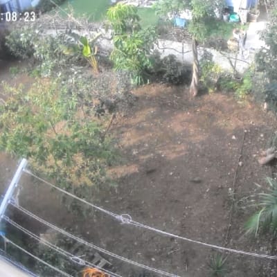 גינה עם עצים ושיחים, צולם מלמעלה