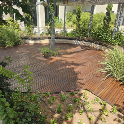 דק עץ בגינה עם צמחים ופרחים מסביב