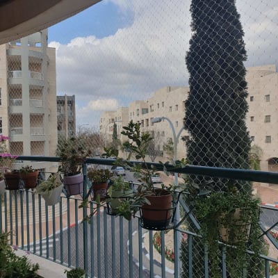 מרפסת עם עציצים ורשת בטיחות, בניינים ברקע