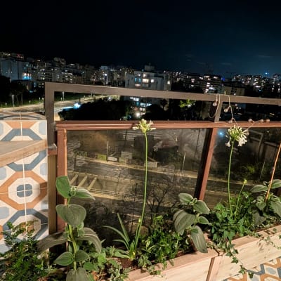 צמחים במרפסת עם נוף עירוני בלילה