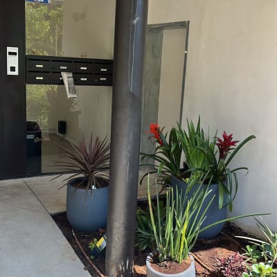 עציצים עם צמחים ירוקים ופרחים אדומים בכניסה לבניין