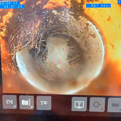 צילום מסך של צינור עם שורשים בתוכו