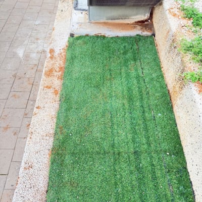 שטח דשא מלאכותי ליד מבנה בטון קטן