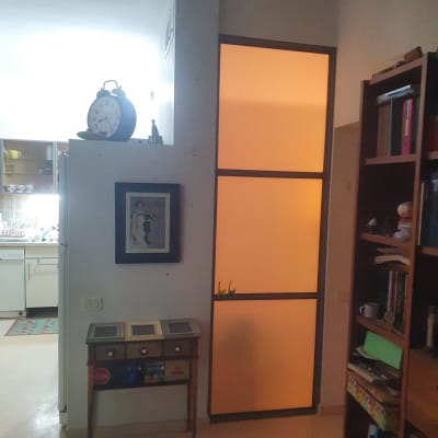 דלת אלומיניום עם זכוכית חלבית כתומה