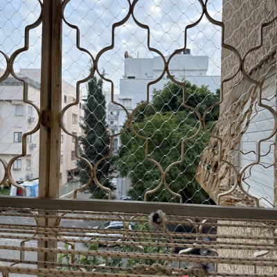 רשת למניעת כניסת יונים על חלון בניין