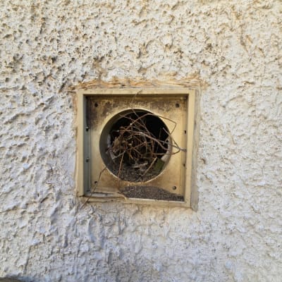 פתח אוורור עם קן יונים