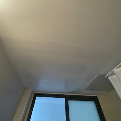 תקרה חלקה עם חלון וילון מקלחת